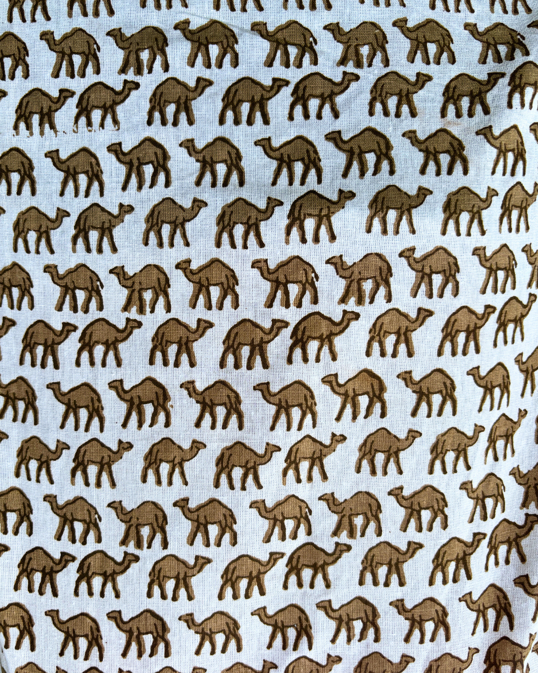 Camel - Printed Short Kurti - Image 4